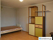 1-комнатная квартира, 42 м², 2/17 эт. Андреевка