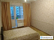 1-комнатная квартира, 42 м², 3/17 эт. Санкт-Петербург