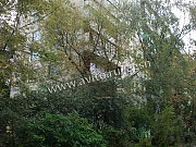 2-комнатная квартира, 53 м², 4/9 эт. Москва