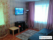 1-комнатная квартира, 30 м², 1/5 эт. Новосибирск