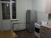 1-комнатная квартира, 43 м², 16/17 эт. Оренбург