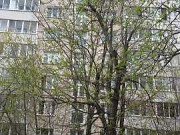 2-комнатная квартира, 49 м², 5/12 эт. Москва