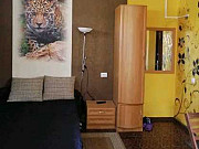 1-комнатная квартира, 29 м², 1/1 эт. Таганрог