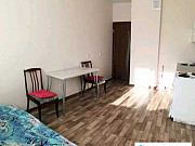 1-комнатная квартира, 45 м², 9/16 эт. Барнаул