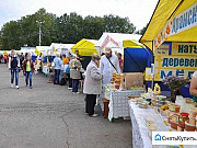 Ярмарки все районы спб Санкт-Петербург