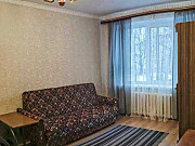1-комнатная квартира, 35 м², 1/3 эт. Санкт-Петербург