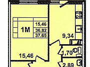 1-комнатная квартира, 37 м², 12/12 эт. Янино-1