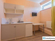 1-комнатная квартира, 20 м², 1/3 эт. Москва