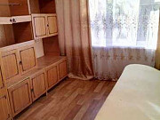 1-комнатная квартира, 20 м², 1/5 эт. Барнаул