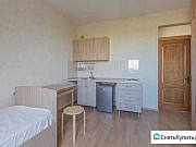 1-комнатная квартира, 20 м², 3/3 эт. Москва