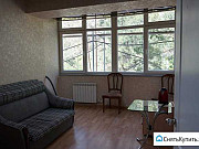 1-комнатная квартира, 25 м², 3/4 эт. Сочи