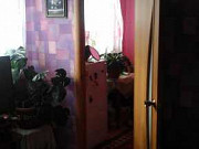 2-комнатная квартира, 40 м², 2/3 эт. Усолье-Сибирское